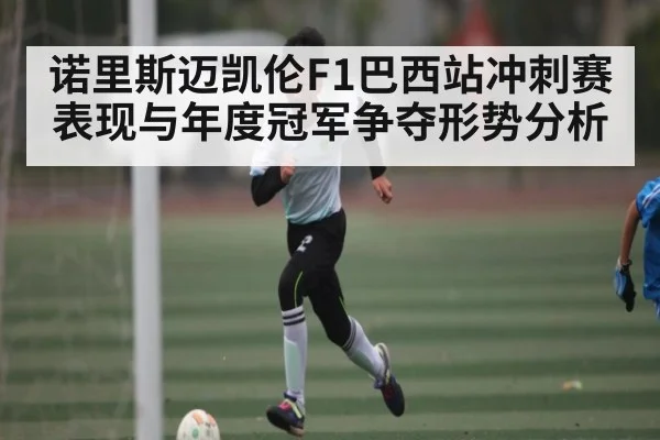 诺里斯迈凯伦F1巴西站冲刺赛表现与年度冠军争夺形势分析