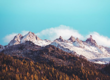 LeyuSports：科技点亮你的每一次跃动