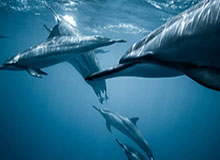 华体会官网——打造安全、便捷、专业的体育娱乐平台